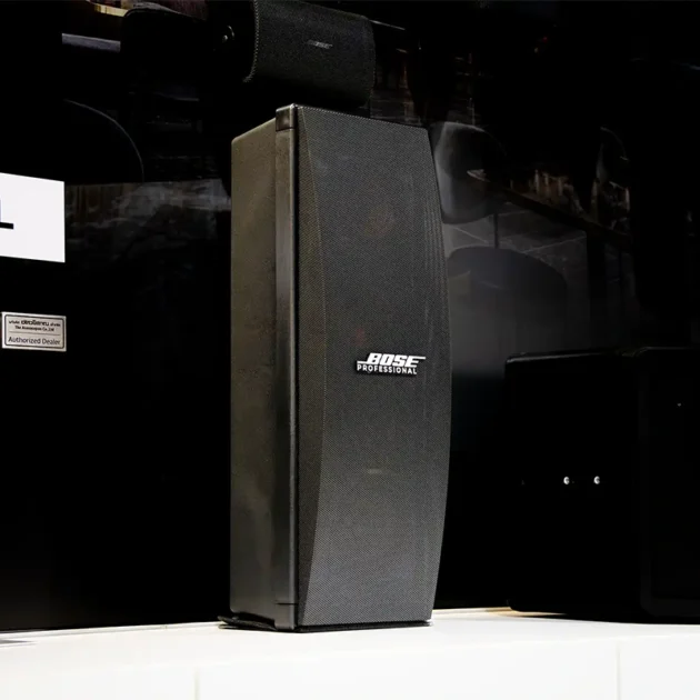 ลำโพงติดผนัง Panaray 402 Series V