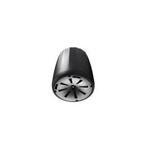JBL Control 65 P/T