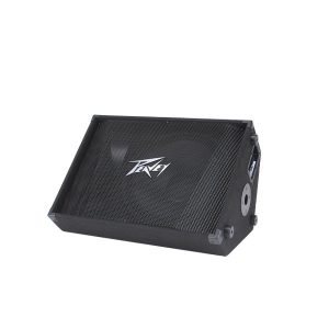 PEAVEY PV 15M