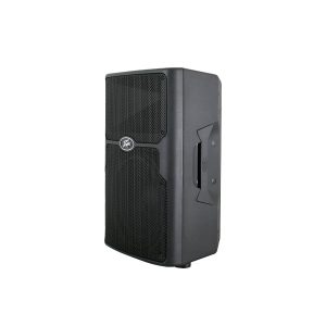 PEAVEY PVX 15