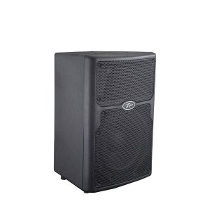 PEAVEY PVX 10