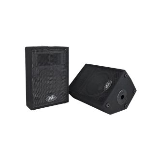 PEAVEY PVI 10