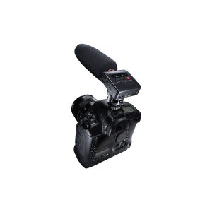 TASCAM DR-10SG