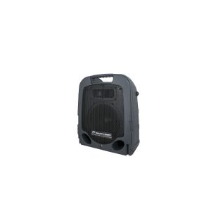PEAVEY ESCORT-6000