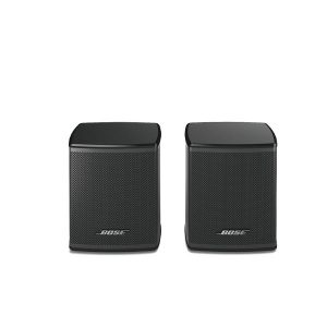 BOSE VIRTUALLY INVISIBLE 300