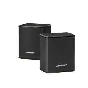 BOSE VIRTUALLY INVISIBLE 300