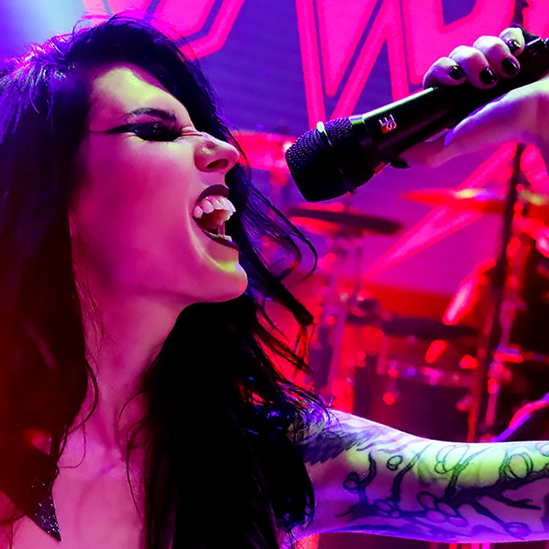 SE ELECTRONICS V7 BLACK 3