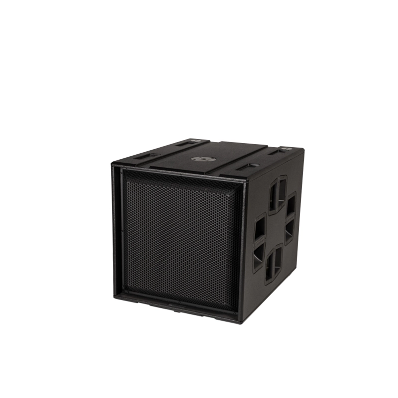 dBTechnologies INGENIA IGS1