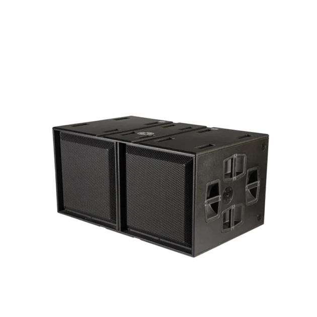 dBTechnologies INGENIA IGS2