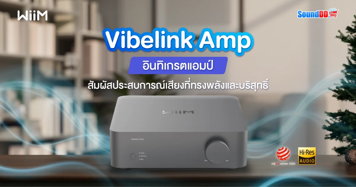 WiiM Vibelink Amp
