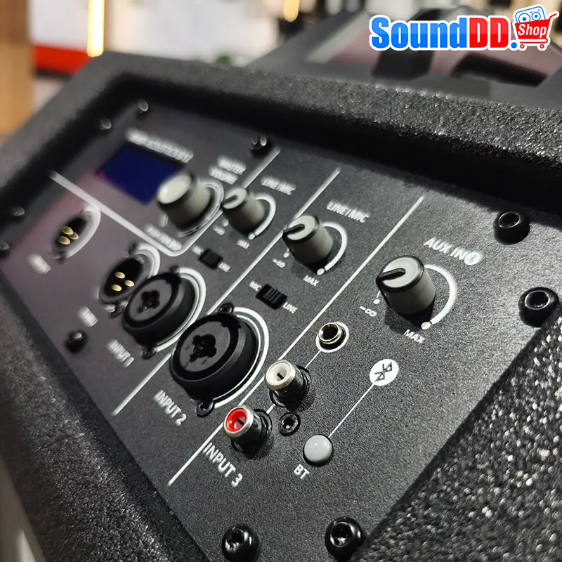 RIVER ACOUSTICS G12 ลำโพง Active คอลัมน์