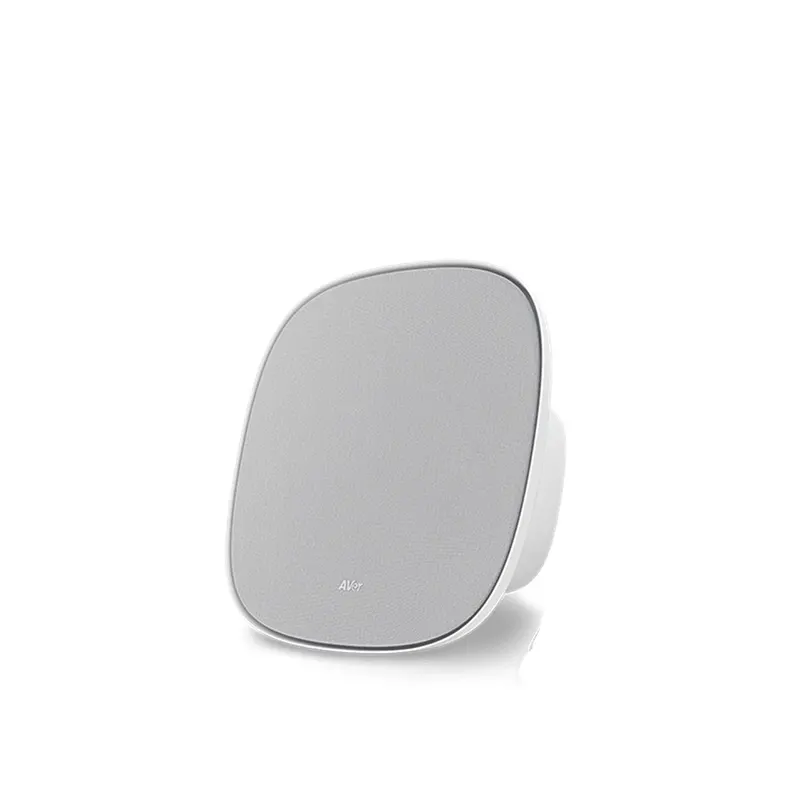 AVER EXPANSION Ceiling Speaker